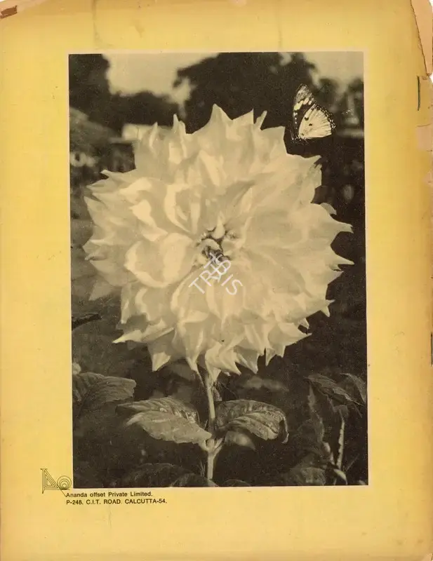 Aveek Sarkar (Editor), Sunday, 1974, Magazine