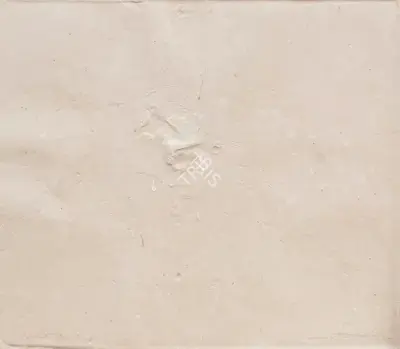 Somnath Hore (Artist), Wound Series, 1983, Graphic Art