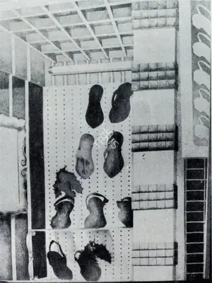 Shrilekha Sikander (Artist), Shop Window, 1977, Drawing
