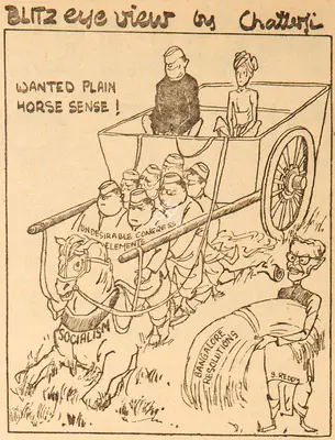 Basu Chatterjee (Cartoonist), Wanted Plain Horse Sense !, 1960, Cartoons