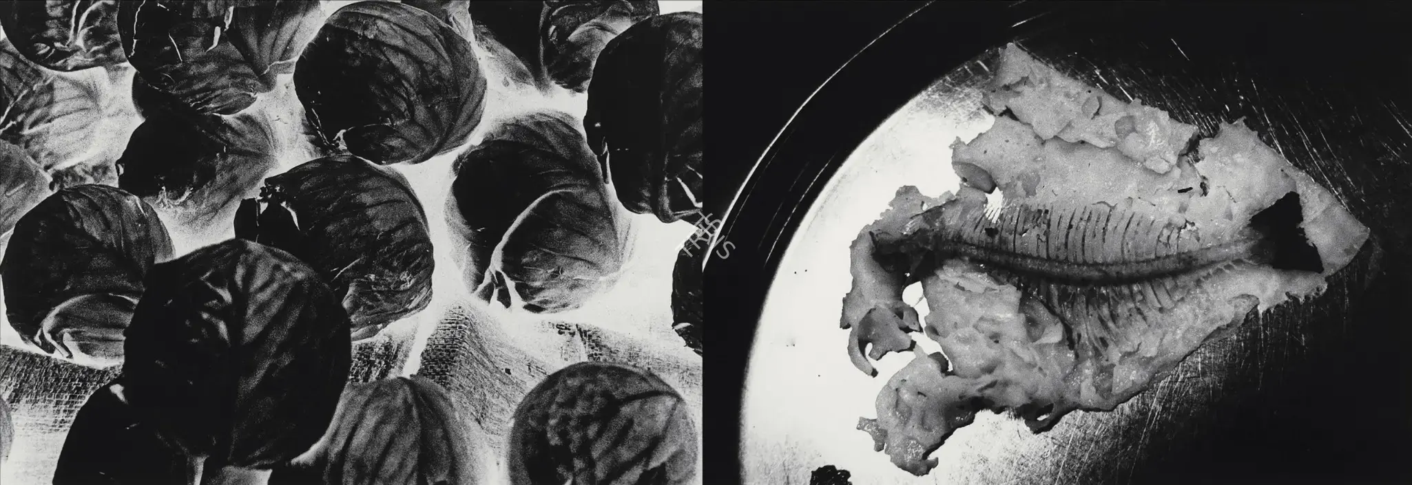 Anita Dube (Artist), Prelude (Grave And A Map), 2005, Print