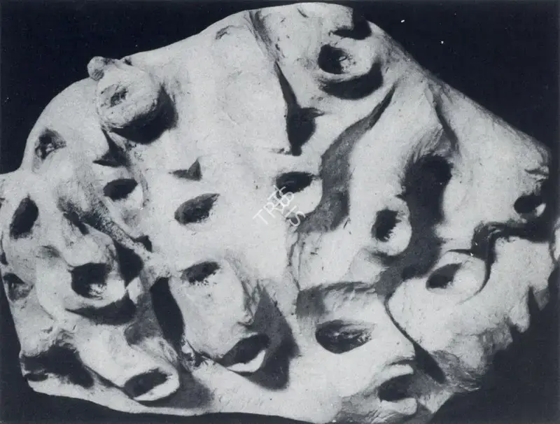 Amar Sehgal (Artist), Anguished Cries, Sculpture