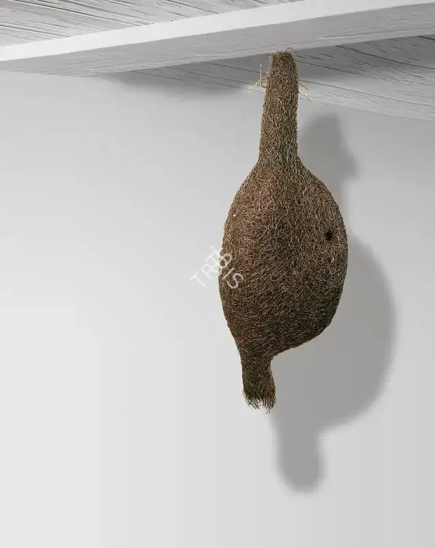 Vibha Galhotra (Artist), Missing, 2007, Sculpture