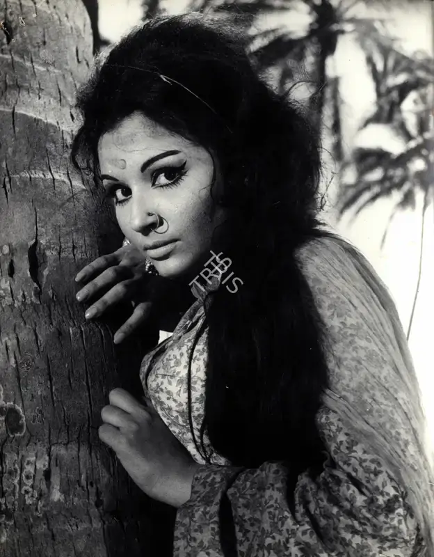 M. Rajaram (ii) (Cinematographer), Mere Humsafar, 1970, Photographic Still