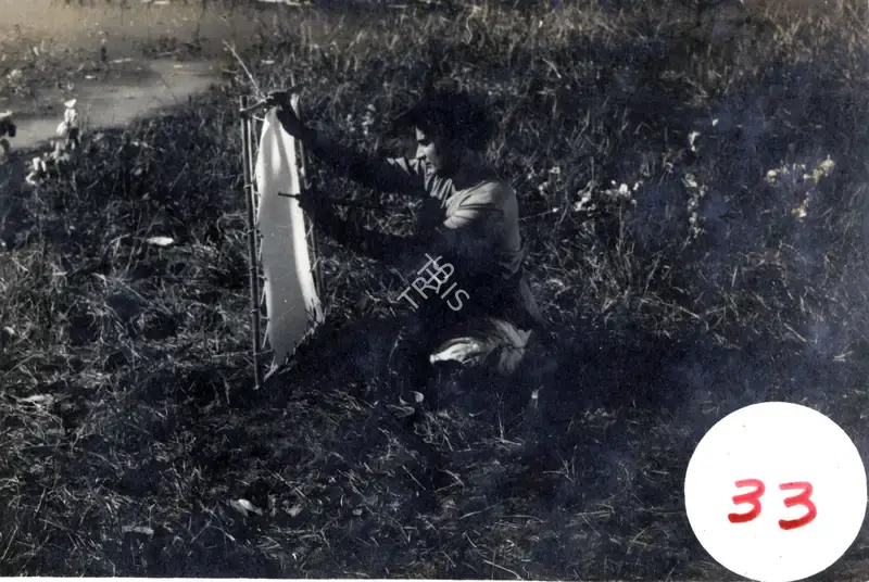 Sharad Pai (Producer), Pyar Ki Jeet, 1962, Photographic Still