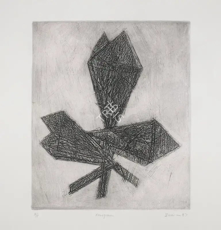 Zarina Hashmi (Artist), Homegrown, 1987, Graphic Art