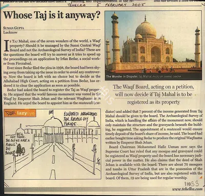 Suman Gupta (Reporter), Whose Taj is it Anyway, 2005, Newspaper Clipping