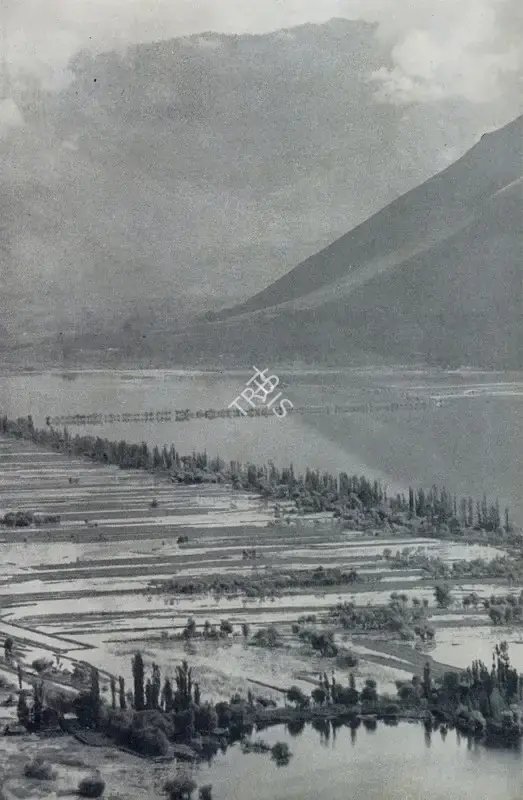 Henri Cartier Bresson (Photographer), The Floating Fields of Kashmir, Contemporary Photograph