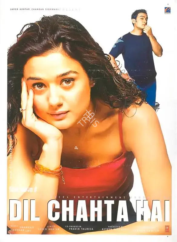 Farhan Akhtar (Producer), Dil Chahta Hai, 2001, Full Sheet Poster