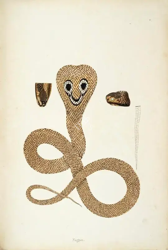 William Skelton (Engraver), Nagoo, 1796, Engraving
