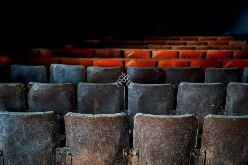 Hemant Chaturvedi (Photographer), The seats inside Jagat Talkies, Meerut, Uttar Pradesh, 2024, Contemporary Photograph