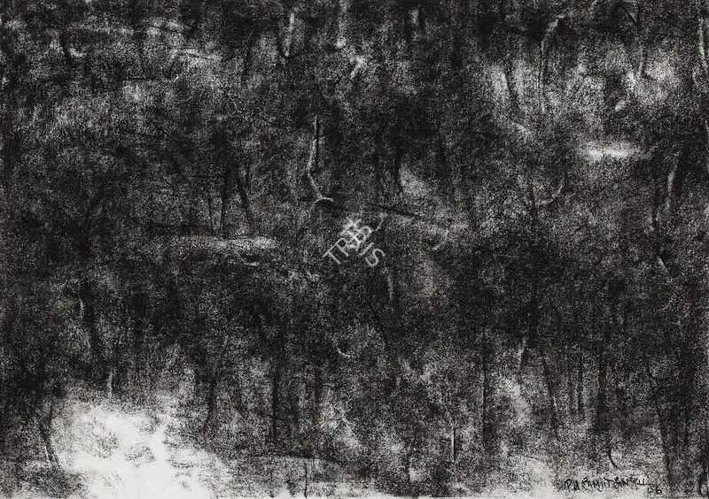 Paramjit Singh (Artist), Untitled, 2006, Drawing