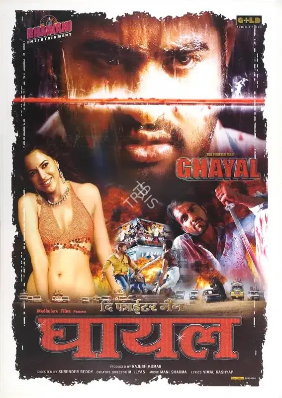 Rajesh Kumar (Producer), Ghayal The Fighter Man, 2006, Full Sheet Poster