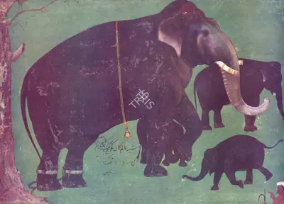 Alam Guman (Artist), Jehangir's Royal Elephant, 1650, Painting