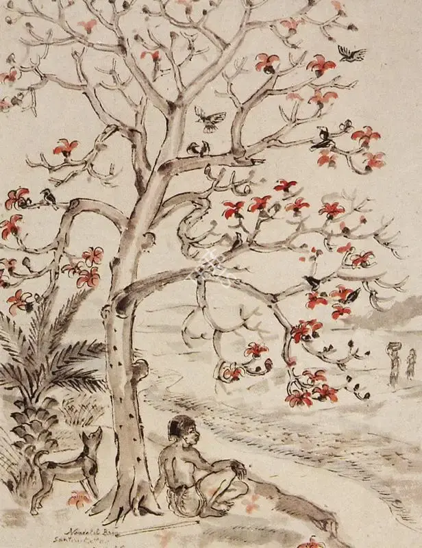 Nandalal Bose (Artist), Man Seated Under a Simul Tree, 1945, Painting