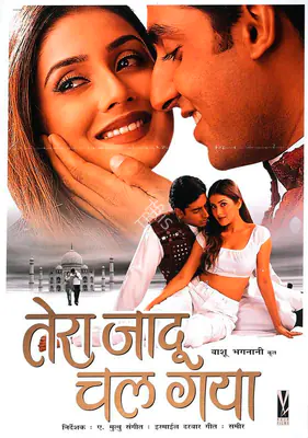 Vashu Bhagnani (Producer), Tera Jadoo Chal Gayaa, 2000, Full Sheet Poster