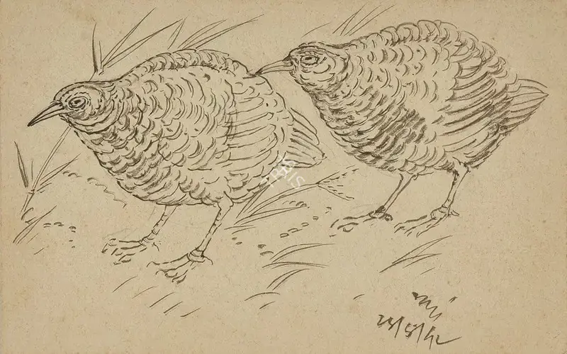 Nandalal Bose (Artist), Untitled (Birds), 1942, Drawing