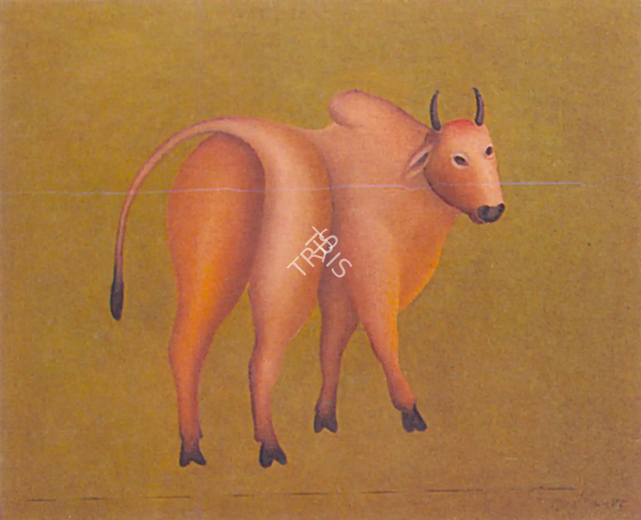 Manjit Bawa (Artist), Bull, 1985, Painting