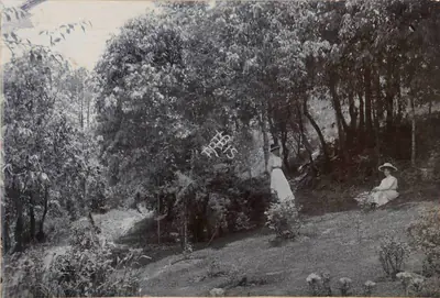Unknown (Photographer), Rose Garden, 1900, Antiquarian Photograph