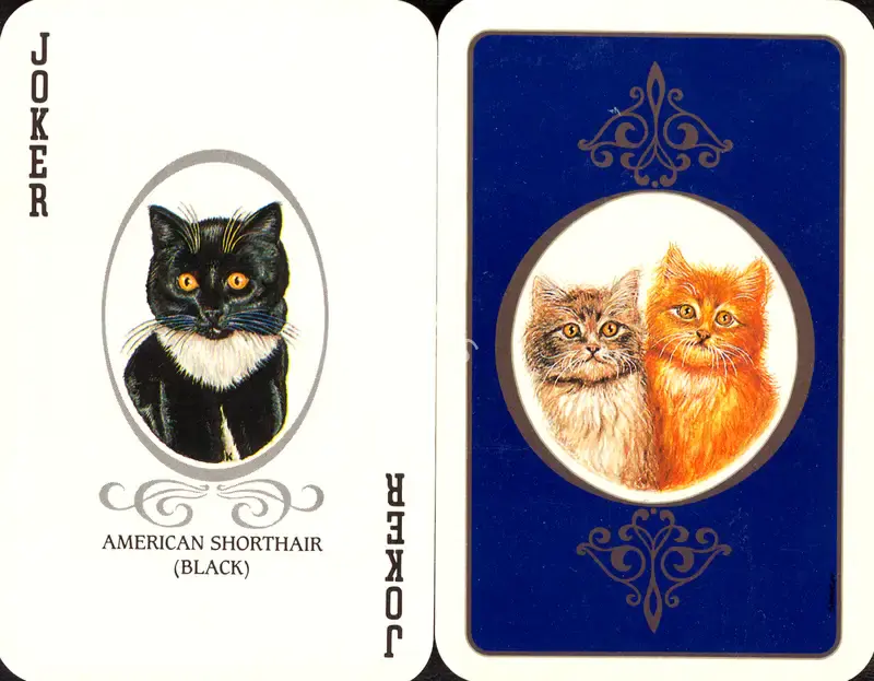 Cats - 1, 1988, Playing Cards