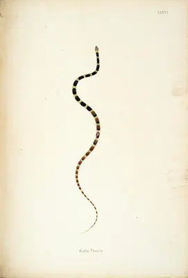 William Skelton (Engraver), Katla Vyrien, 1796, Engraving