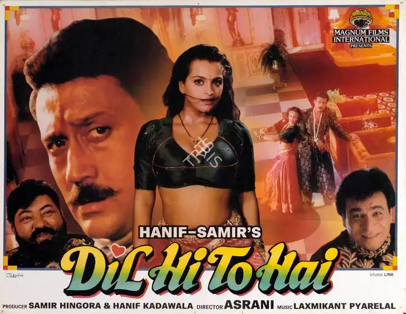 Samir Hingora (Producer), Dil Hi To Hai, 1993, Lobby Card