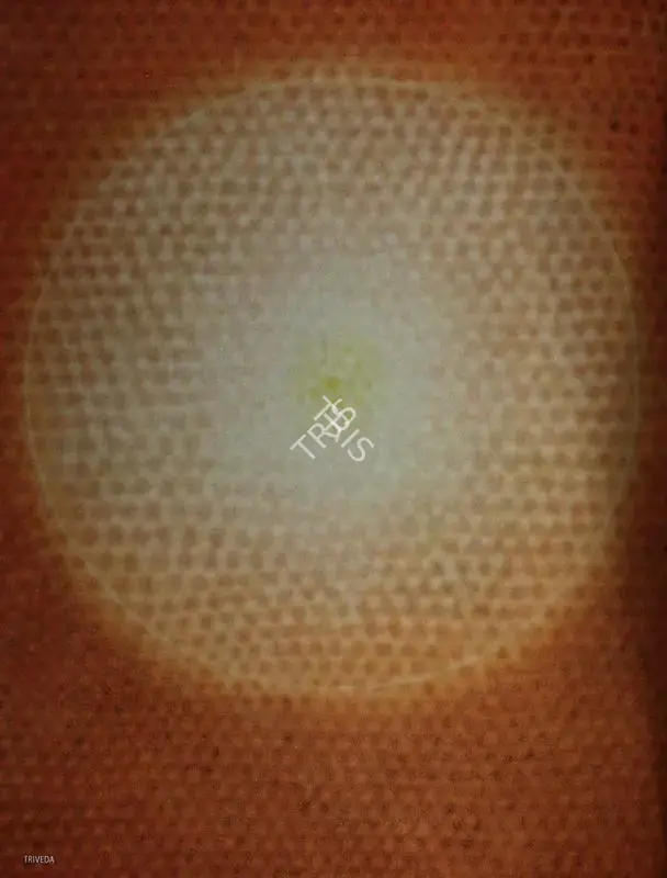 Shobha Broota (Artist), Origin 48, 1990, Painting