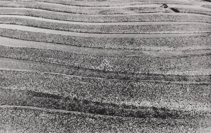 Nasreen Mohamedi (Artist), Untitled (NM Photo 13), 1968, Print