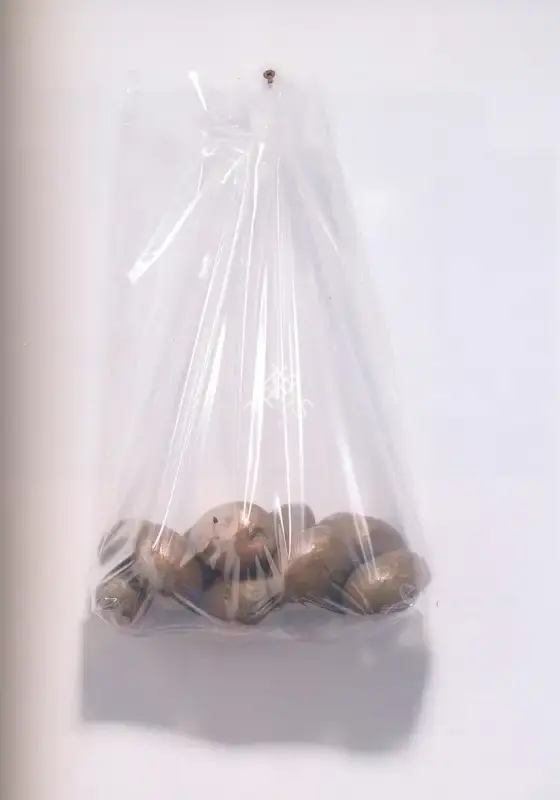 Subodh Gupta (Artist), Potato Eaters, 2007, Sculpture
