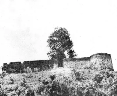 Jyoti Bhatt (Photographer), Untitled, Contemporary Photograph