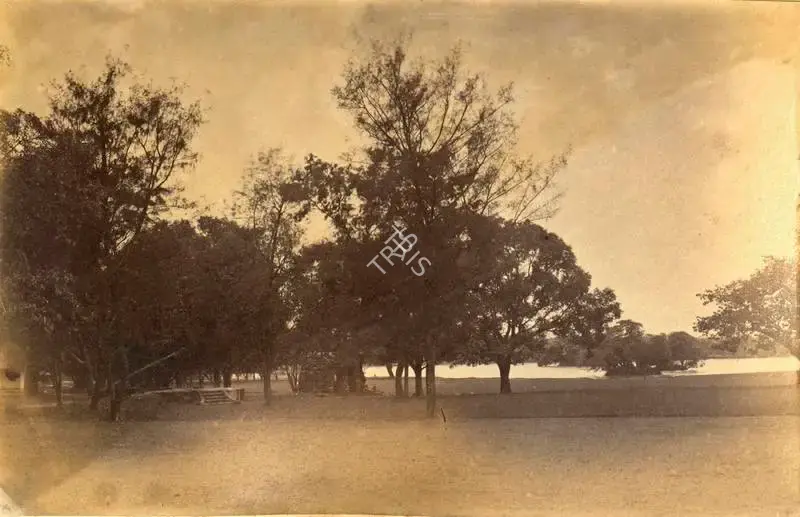 Unknown (Photographer), Untitled, 1870, Antiquarian Photograph