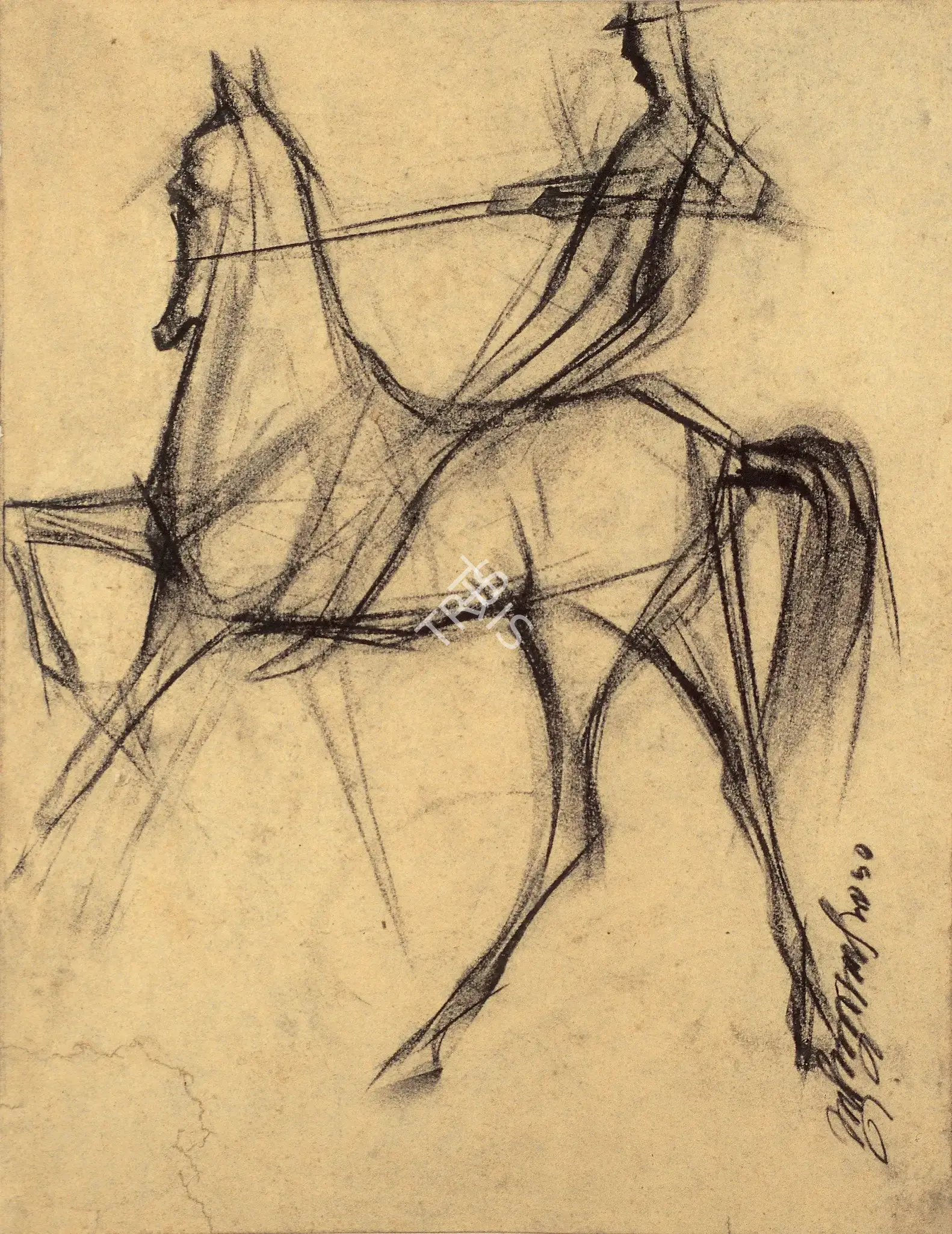 Sunil Das (Artist), Jockey & Horse, 1950, Drawing