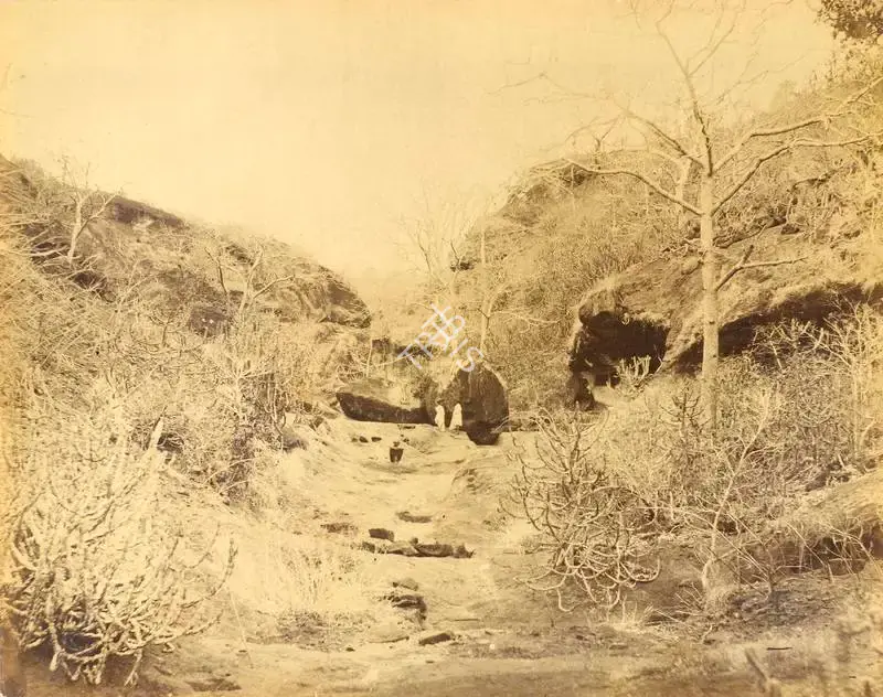 Unknown (Photographer), Caves of Kanheri – The Ravine, Bombay, Antiquarian Photograph
