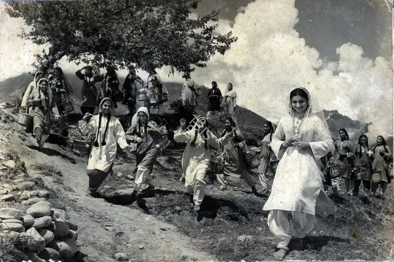 V.N. Reddy (Cinematographer), Kashmir Ki Kali, 1964, Photographic Still