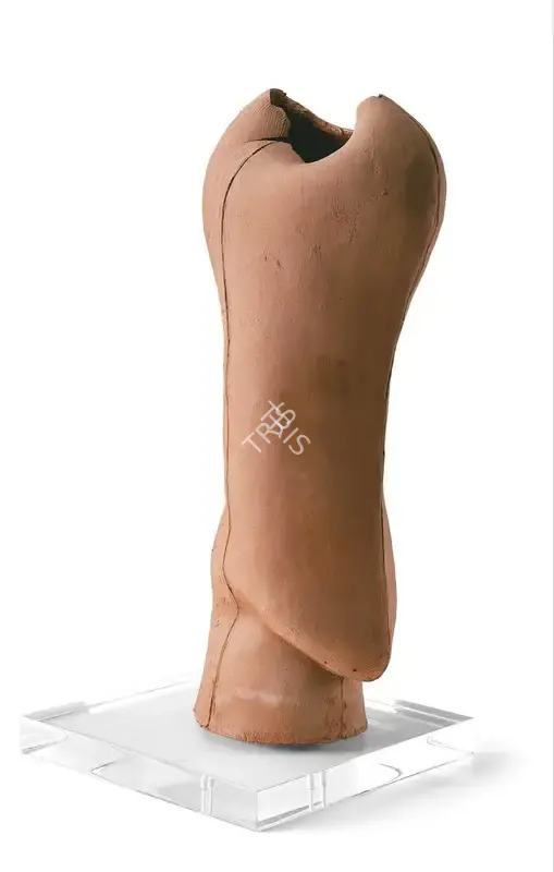 Himmat Shah (Artist), Head, 2002, Sculpture