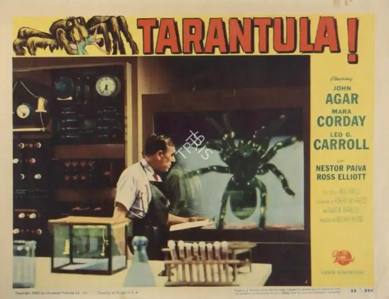 George Robinson (Cinematographer), Tarantula, 1955, Lobby Card