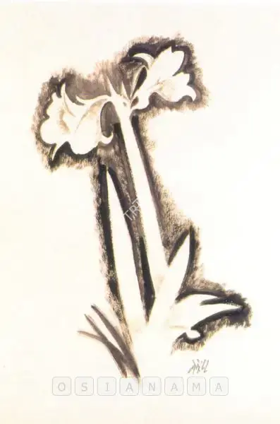 N.S. Bendre (Artist), Lily, 1988, Painting