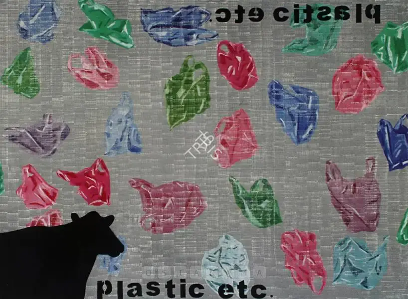 Anjum Singh (Artist), Plastic Etc., 2005, Painting