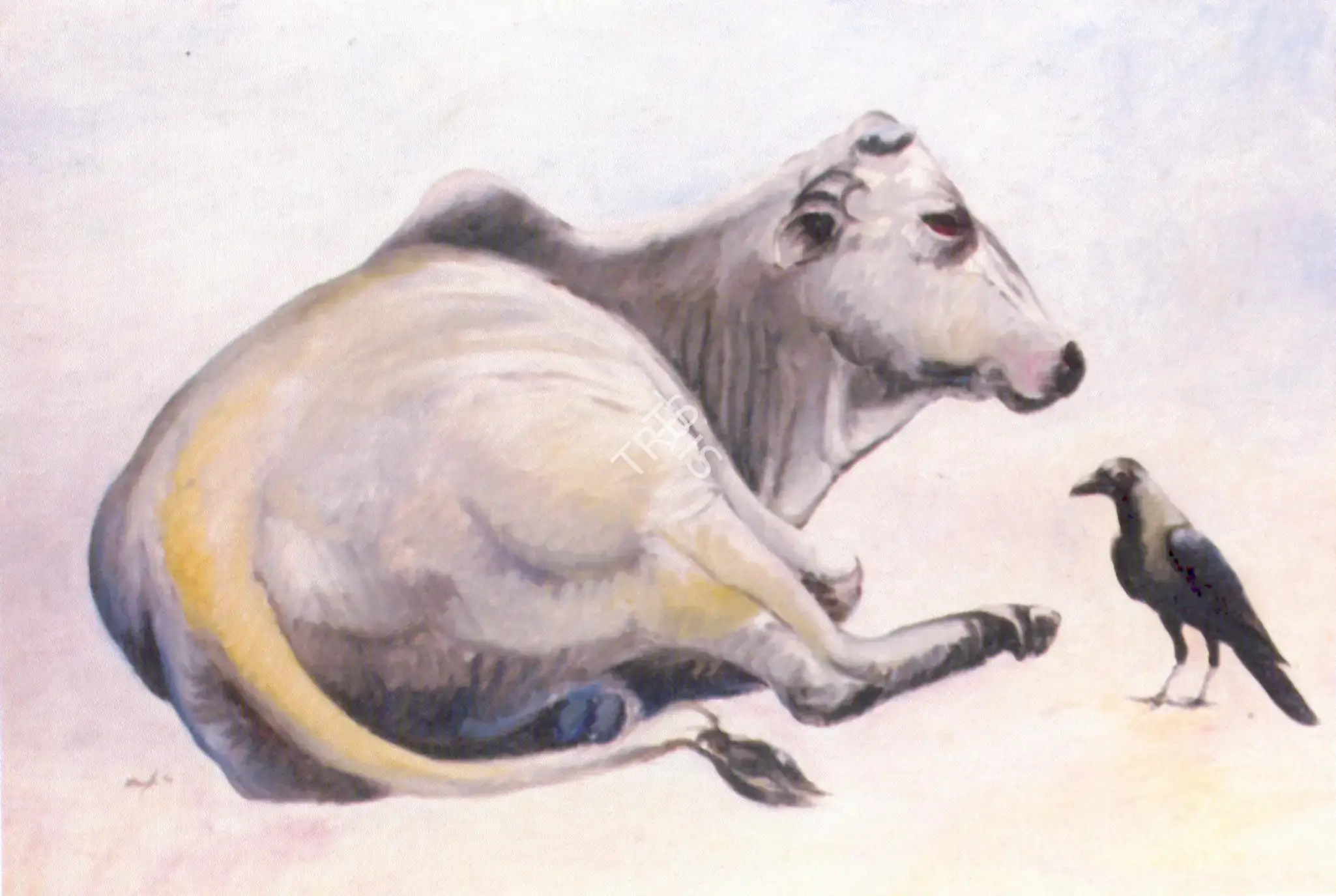 Manjit Bawa (Artist), Cow And Crow, 1990, Painting