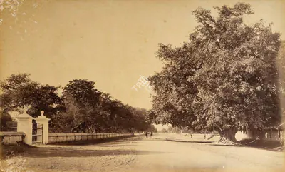 Samuel Bourne (Photographer), View in Umballa, near the Simla Bank, 1865, Antiquarian Photograph