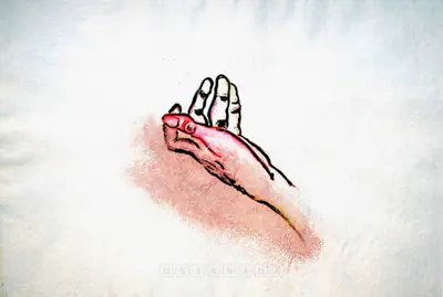 Mithu Sen (Artist), Thumb, 2006, Painting