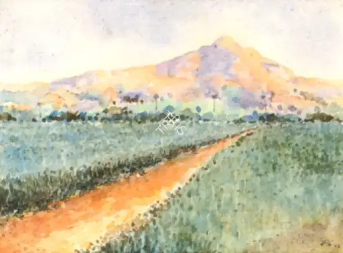 N.S. Bendre (Artist), Landscape, 1943, Painting