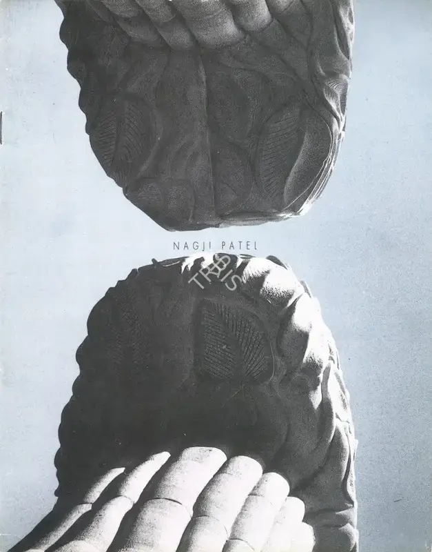 Nagji Patel (Artist), Nagji Patel, Solo Exhibition Catalogue