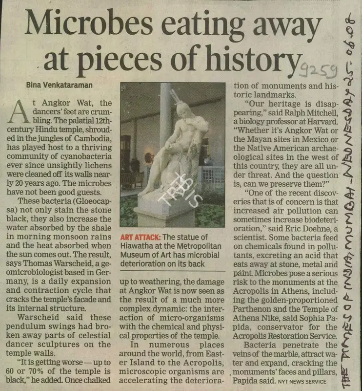 Bina Venkataraman (Reporter), Microbes Eating Away At Pieces of History, 2008, Newspaper Clipping