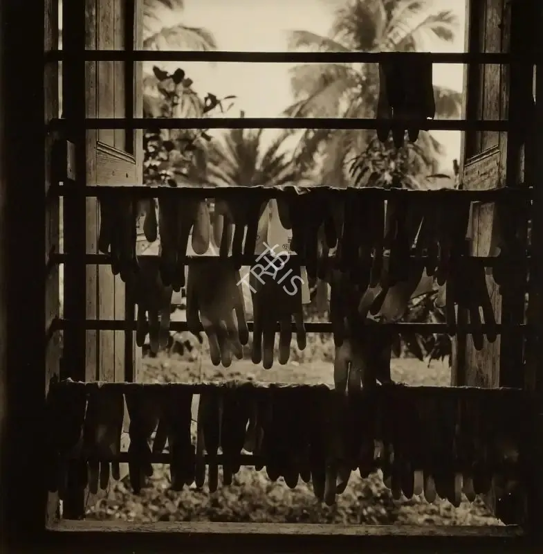 Dayanita Singh (Artist), Sundarba Gloves, 2006, Print