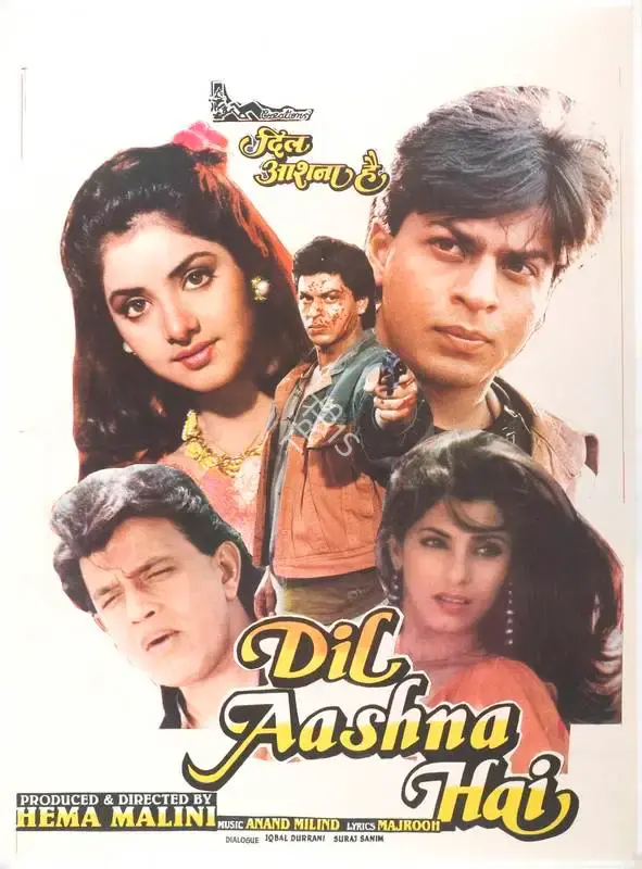 Hema Malini (Producer), Dil Aashna Hai, 1991, Full Sheet Poster