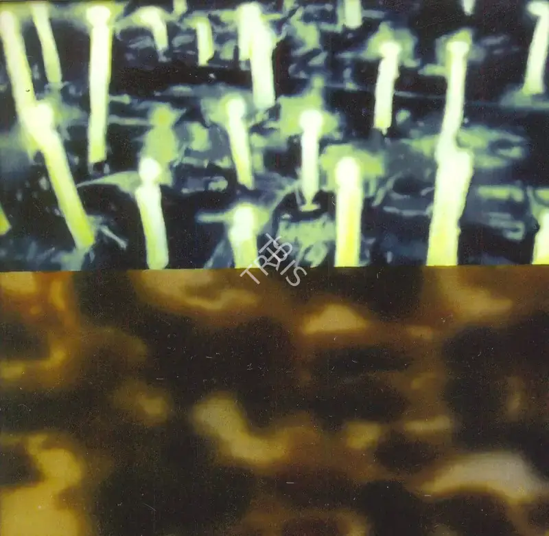 T.V. Santhosh (Artist), Healing, 2003, Painting
