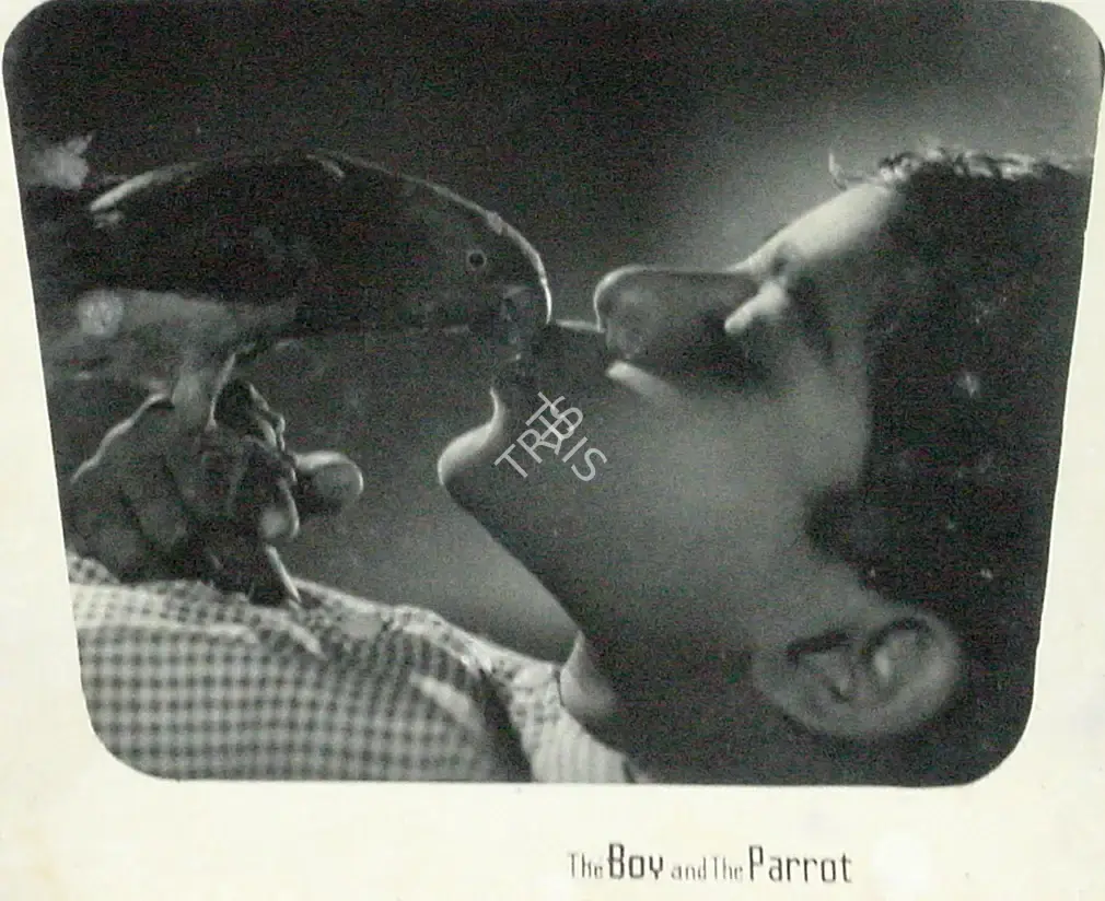 Ezra Mir (Director), Raju Aur Gangaram, 1964, Lobby Card