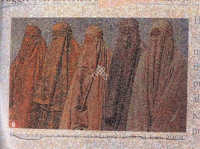 Rashid Rana (Artist), Veil # 6, 2007, Sculpture