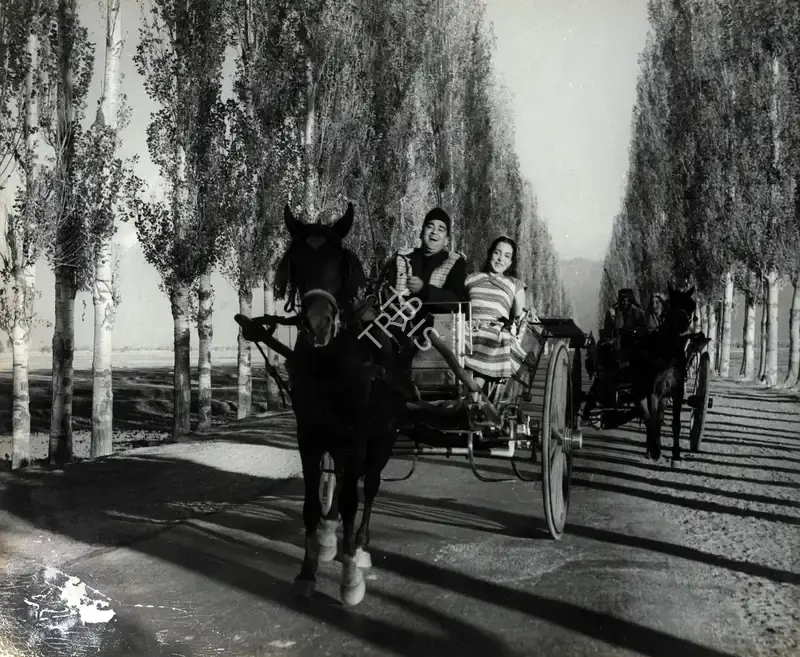 K.H. Kapadia (Cinematographer), Yeh Rastey Hain Pyar Ke, 1963, Photographic Still